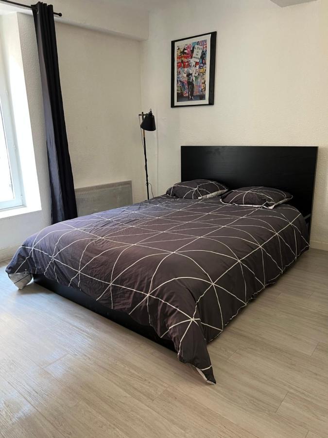 Studio Cosy Au Coeur Du Centre Ville Macon Bagian luar foto